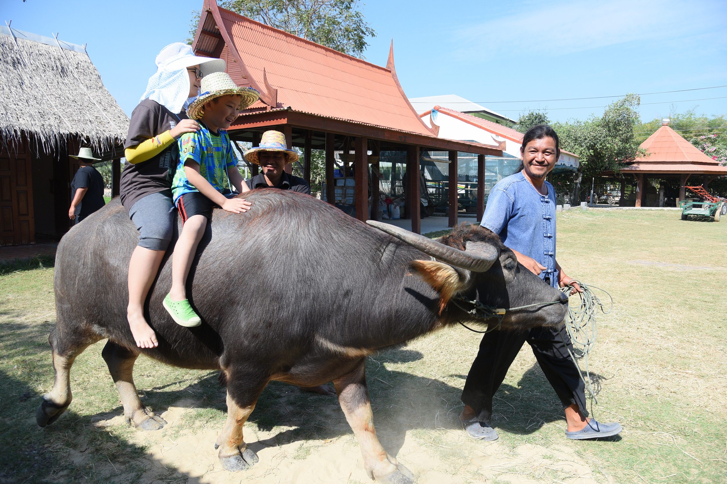 ชวนดำนาบ้านครูธานี ตามรอยในหลวง ร.9 thaihealth