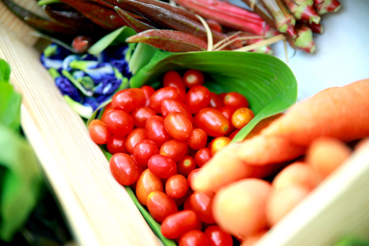 The Basket เดลิเวอรี่ ตะกร้าผักผลไม้ปลอดสาร thaihealth