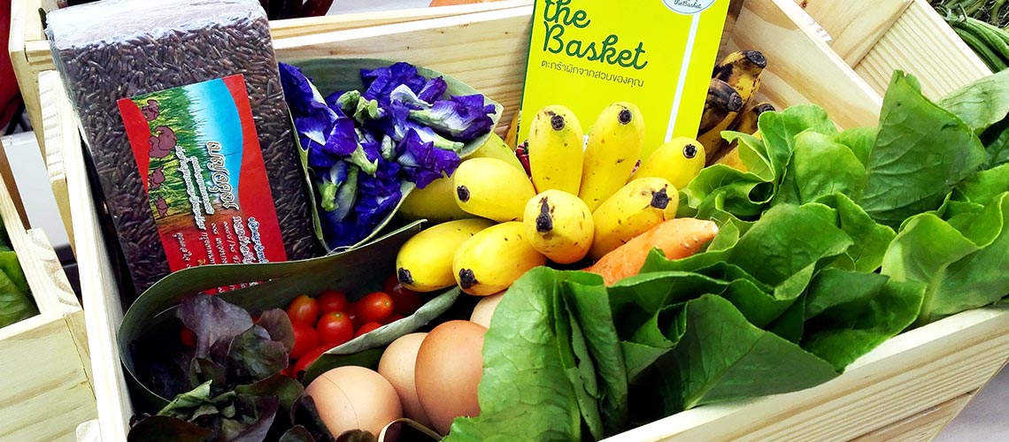 The Basket เดลิเวอรี่ ตะกร้าผักผลไม้ปลอดสาร thaihealth