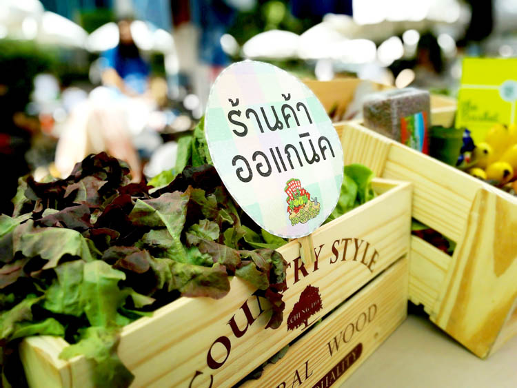 The Basket เดลิเวอรี่ ตะกร้าผักผลไม้ปลอดสาร thaihealth