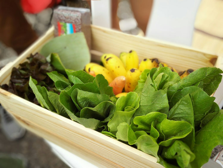 The Basket เดลิเวอรี่ ตะกร้าผักผลไม้ปลอดสาร thaihealth