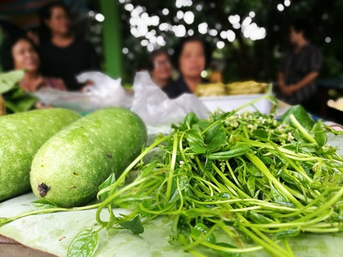 บ้านสันต้นแหน-บ้านน้ำโจ้ 'พอเพียงบนขาของตนเอง' thaihealth