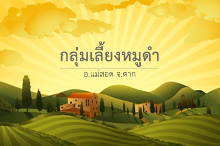 กลุ่มเลี้ยงหมูดำ  thaihealth