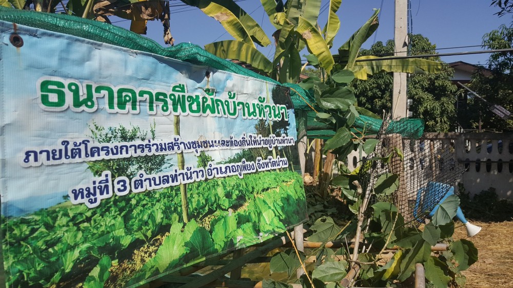 ‘บ้านหัวนา’ สร้างสุขด้วยอาหารปลอดภัย thaihealth