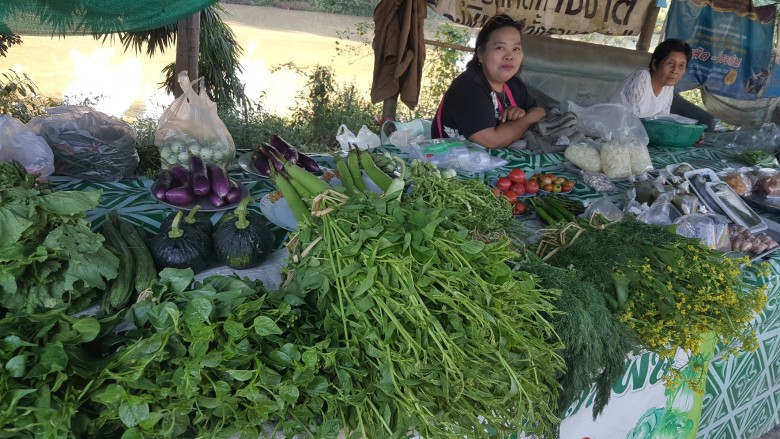 ‘บ้านหัวนา’ สร้างสุขด้วยอาหารปลอดภัย thaihealth