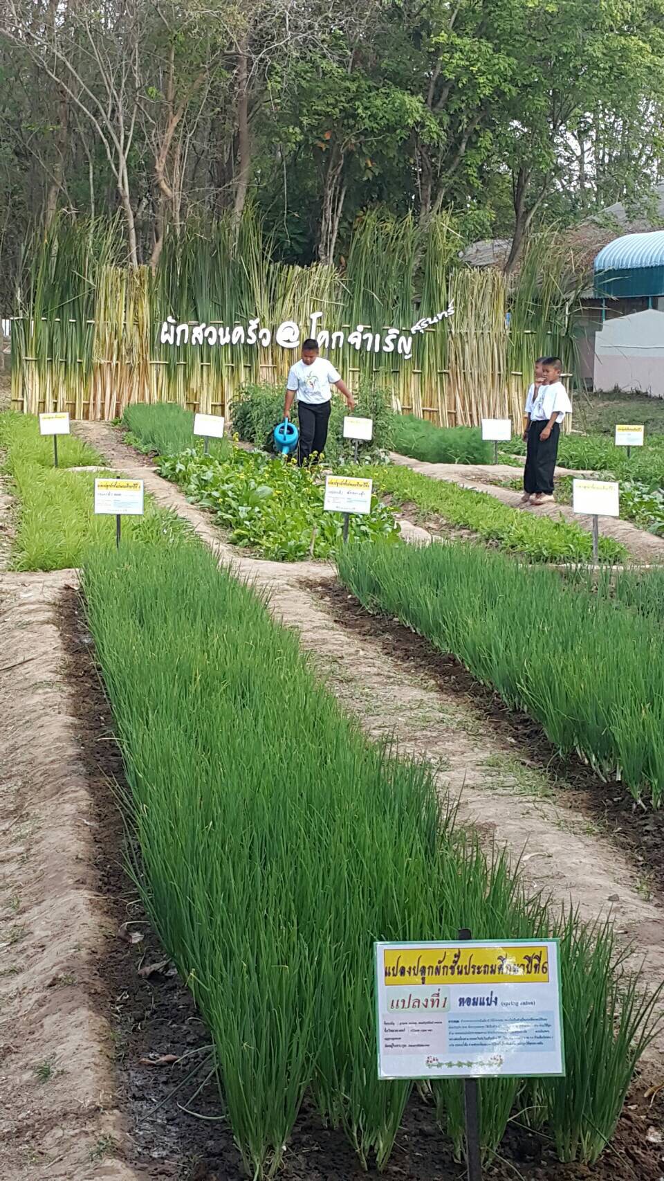 เจริญรอยเจ้าฟ้านักโภชนาการ สานต่อเด็กไทยแก้มใส thaihealth