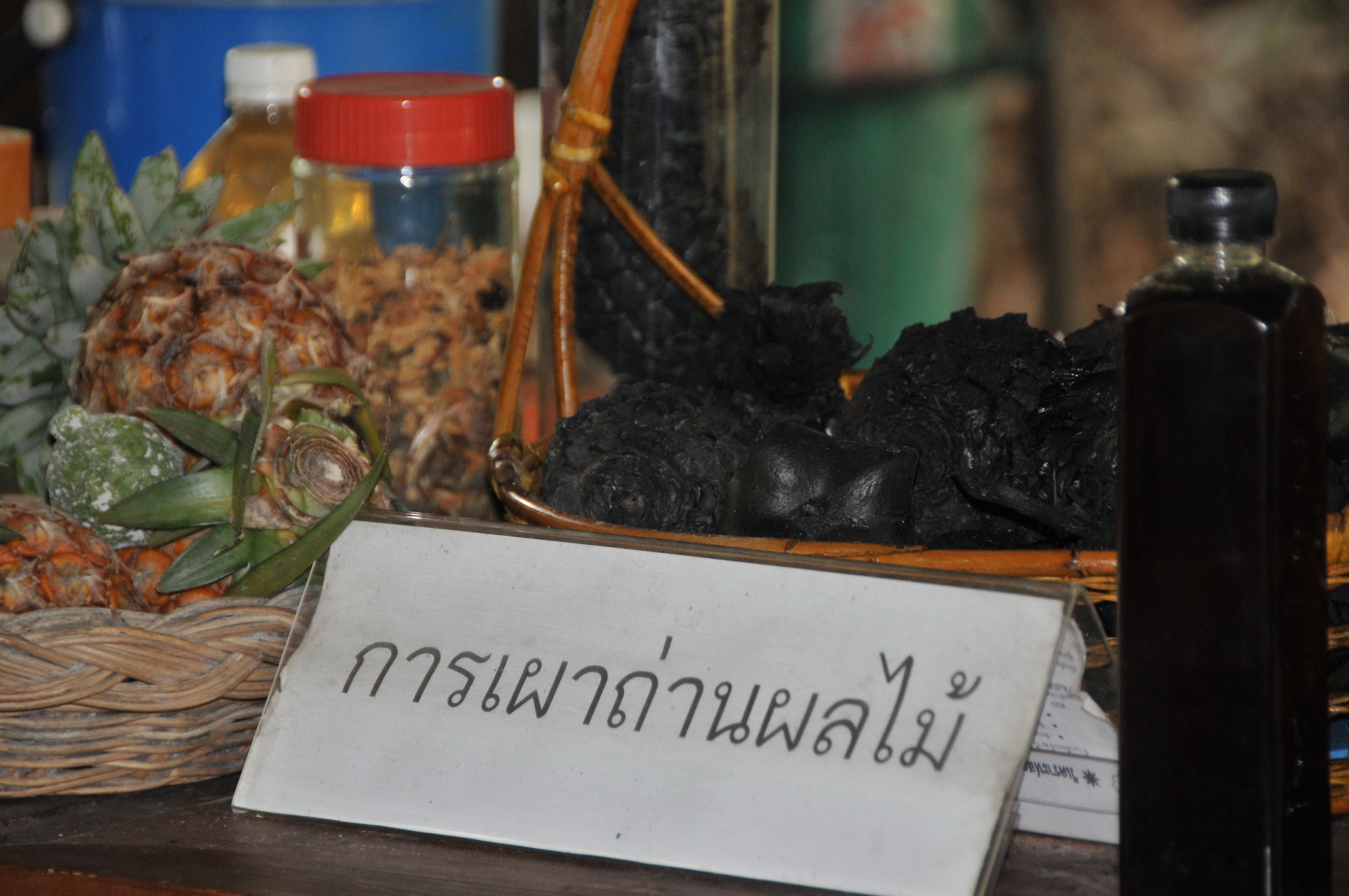 สัมผัสวิถีบางพลับ ชุมชนธรรมชาติดั้งเดิม thaihealth