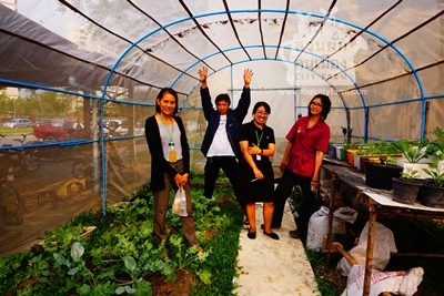 สวนผักปัญญาชน ในแปลงมหา'ลัยสีเขียว thaihealth