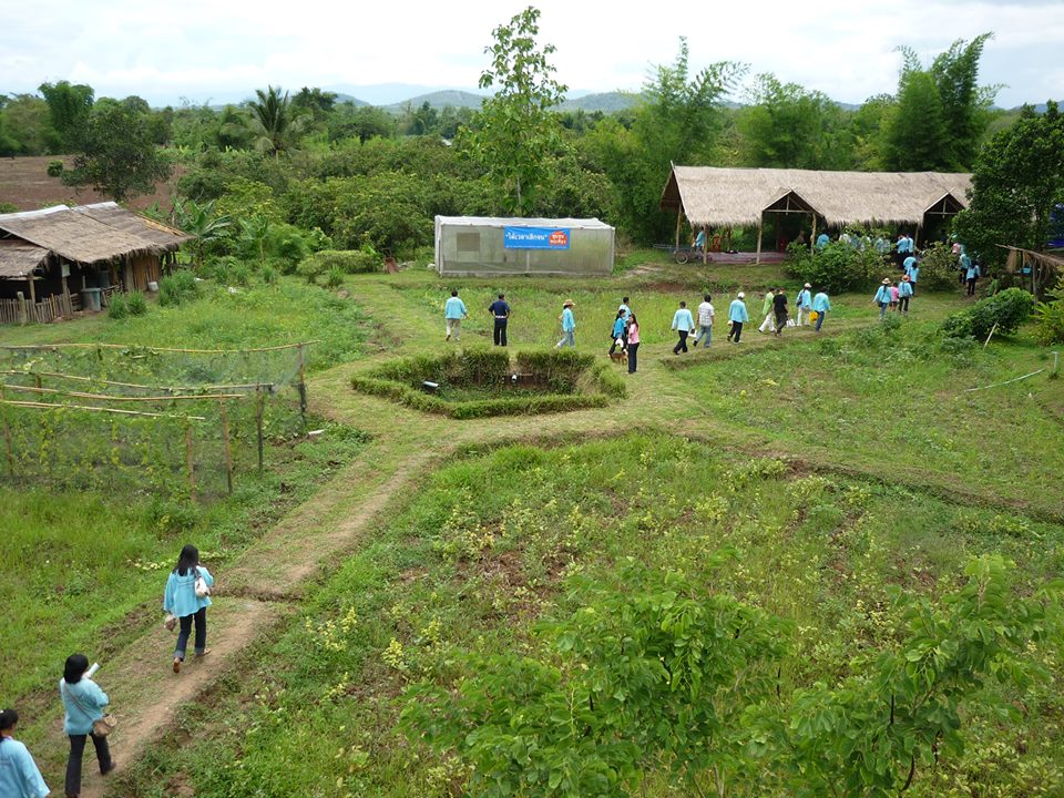 'ศูนย์การเรียนรู้โจ้โก้' พื้นที่เกษตร เพื่อชีวิตที่ยั่งยืน thaihealth