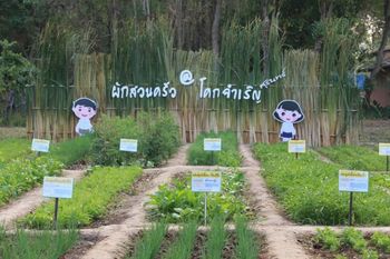 สานต่อ 'ศูนย์เรียนรู้เด็กไทยแก้มใส' จ.สุรินทร์ thaihealth