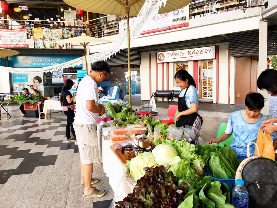 ชุมชนเกษตรอินทรีย์ ฮักเวียงช็อป thaihealth