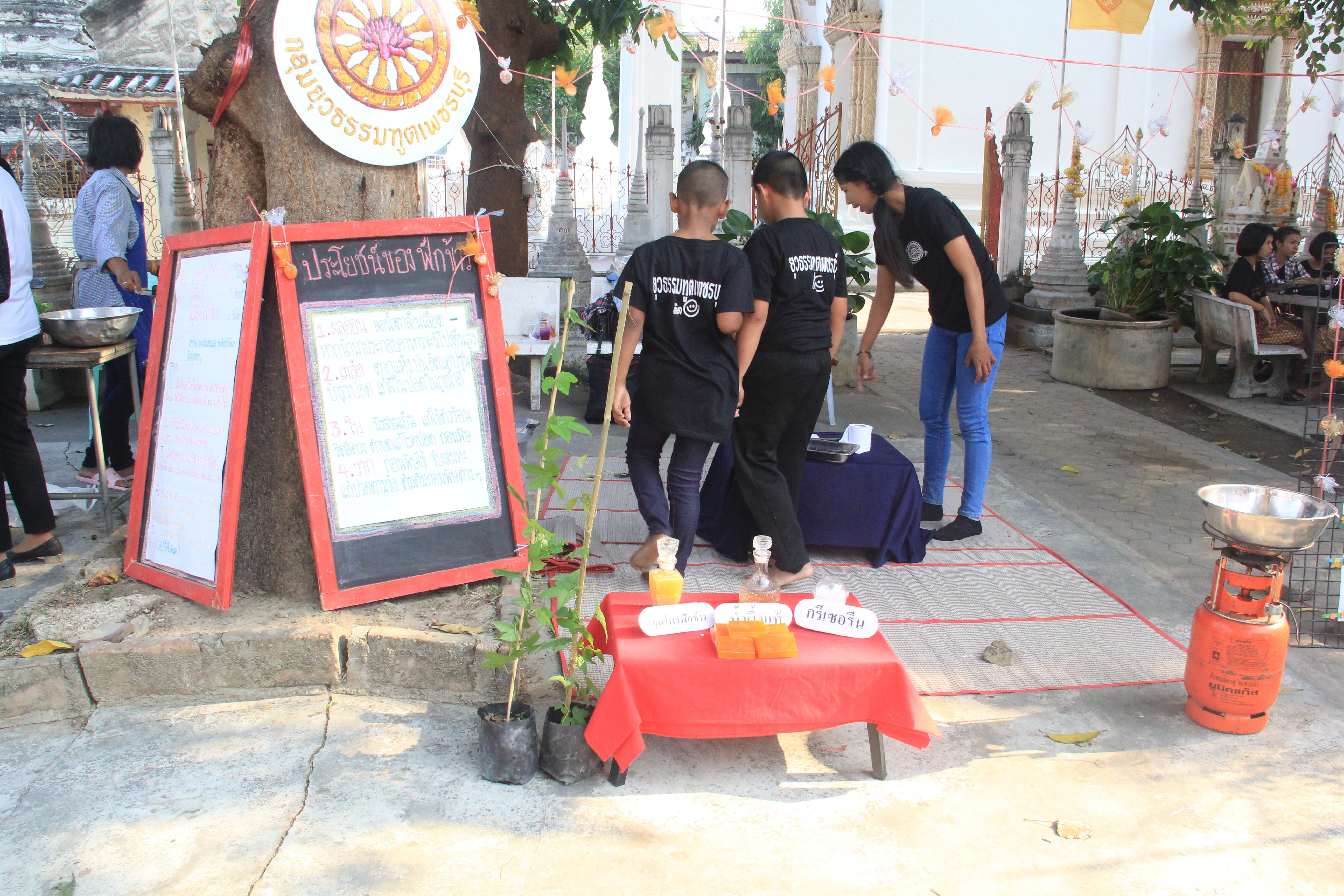 เยาวชนเมืองเพชร เตรียมจัดมหกรรมพื้นที่สร้างสรรค์  thaihealth