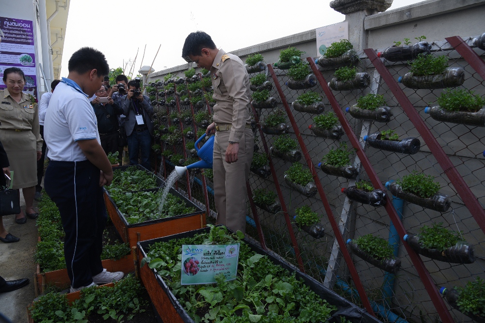 สอนเด็ก'ปลูกผัก'กินเอง แก้ปัญหาอ้วน-เตี้ย thaihealth