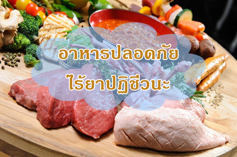 อาหารปลอดภัย ไร้ยาปฏิชีวนะ thaihealth