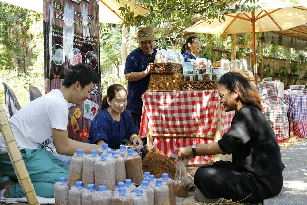 เที่ยวยุคใหม่ในวิถีดั้งเดิม thaihealth