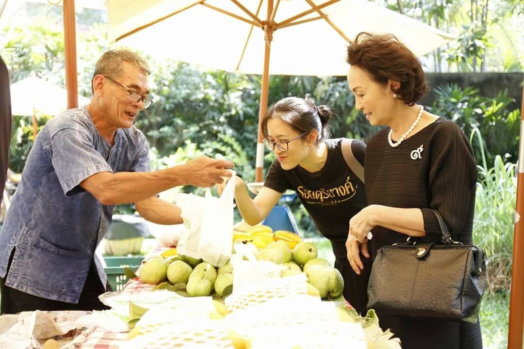 ใต้เงาไม้ที่ 'Patom' thaihealth