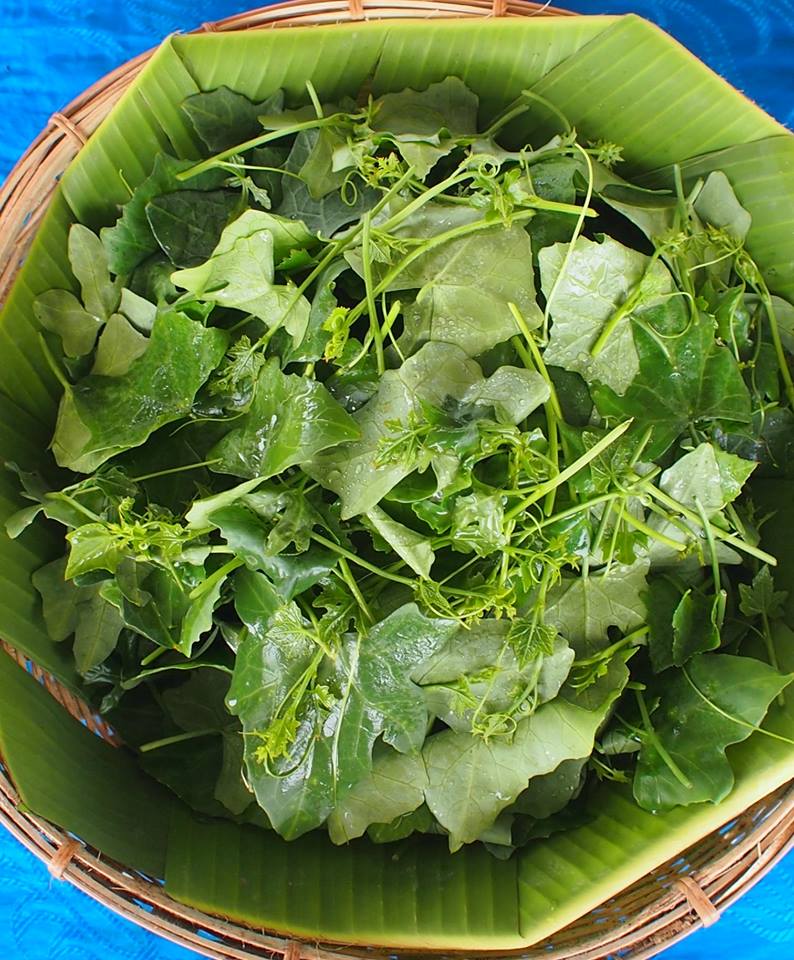 The Basket ตะกร้าผักดีต่อใจ thaihealth