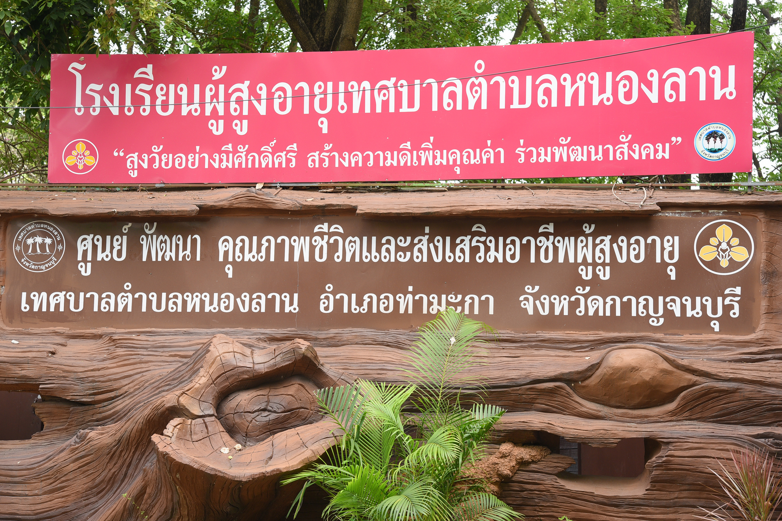 สูงวัยไม่มีใครแก่เกินเรียน thaihealth