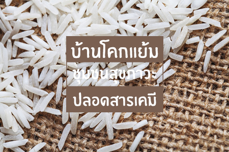 'บ้านโคกแย้ม' ชุมชนสุขภาวะ ปลอดสารเคมี thaihealth