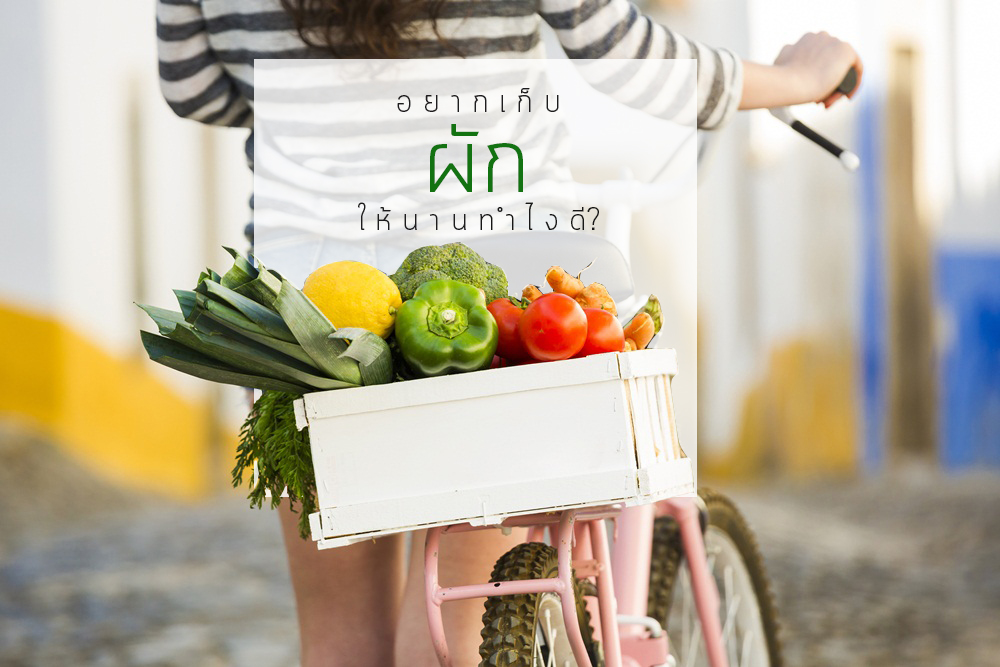 อยากเก็บ ‘ผัก’ ให้นานทำไงดี? thaihealth