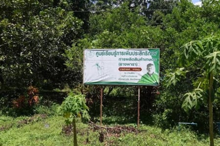 ถอดระบบพหุวัฒนธรรม 'บาละ' thaihealth