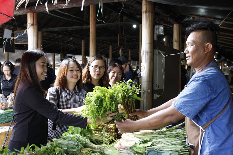 ORGANIC TRAINING PROGRAM thaihealth