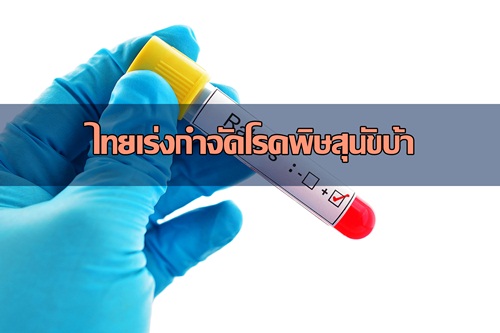 ไทยเร่งกำจัดโรคพิษสุนัขบ้า  thaihealth