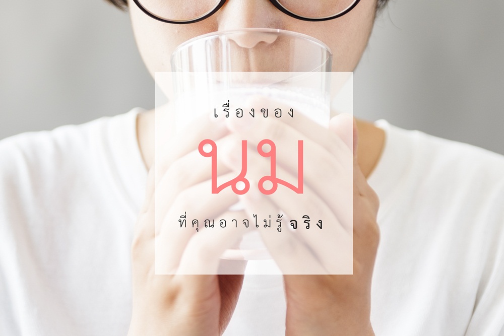 เรื่องของ ‘นม’ที่คุณอาจไม่รู้จริง  thaihealth