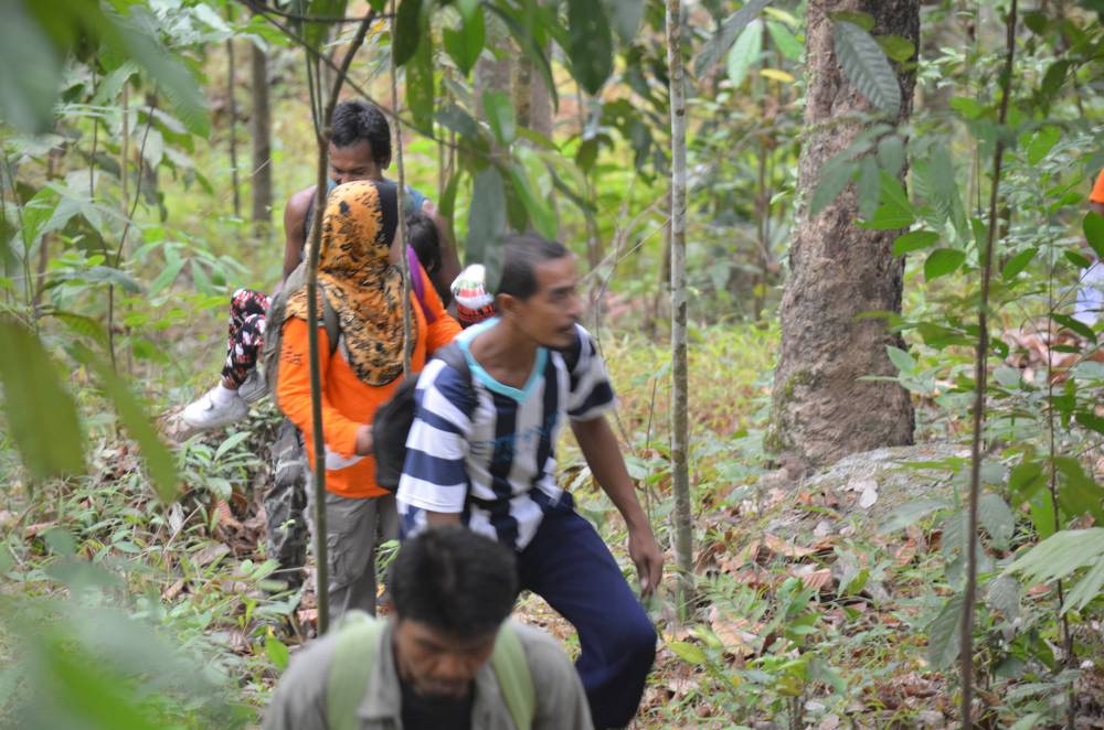 ชุมชนเจาะกะพ้อใน อนุรักษ์นกเงือกป่าบูโด thaihealth