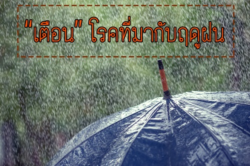       “เตือน” โรคที่มากับฤดูฝน thaihealth