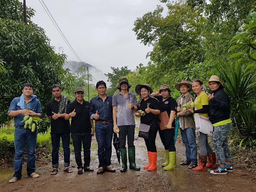 ขับเคลื่อนเกษตรอินทรีย์ thaihealth