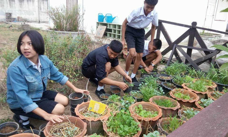 รร.บางมูลนาก 'กินดีเพื่อคุณภาพชีวิตที่ดี' thaihealth