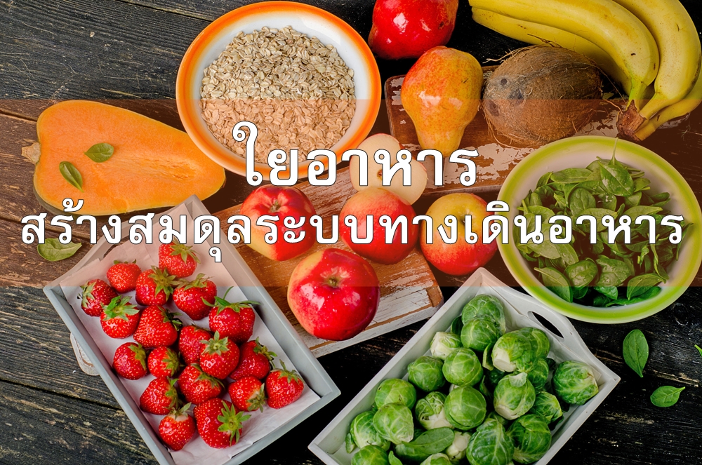 'ใยอาหาร'สร้างสมดุลระบบทางเดินอาหาร thaihealth