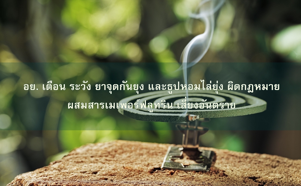 อย. เตือน ระวัง ยาจุดกันยุง และธูปหอมไล่ยุ่ง ผิดกฎหมาย ผสมสารเมเพอร์ฟลูทริน เสี่ยงอันตราย thaihealth
