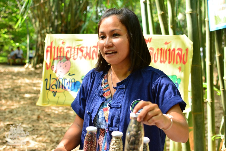 มาเก็บเมล็ดพันธุ์ไว้ใช้เองกันเถอะ  thaihealth