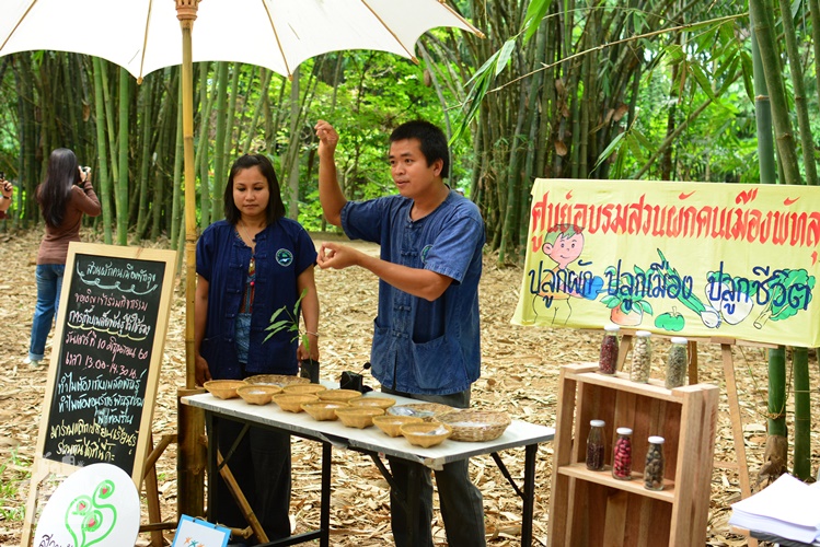มาเก็บเมล็ดพันธุ์ไว้ใช้เองกันเถอะ  thaihealth
