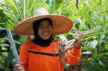 'ชุมชนบ้านแขนท้าว' ปลูกผักด้วยรัก thaihealth