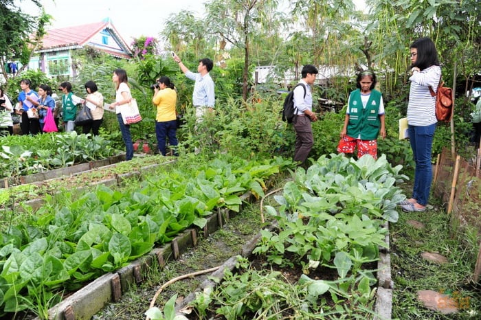 สวนผัก ที่ไม่ใช่แค่สวนผัก thaihealth