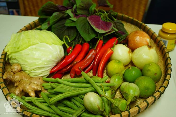 สวนผัก ที่ไม่ใช่แค่สวนผัก thaihealth