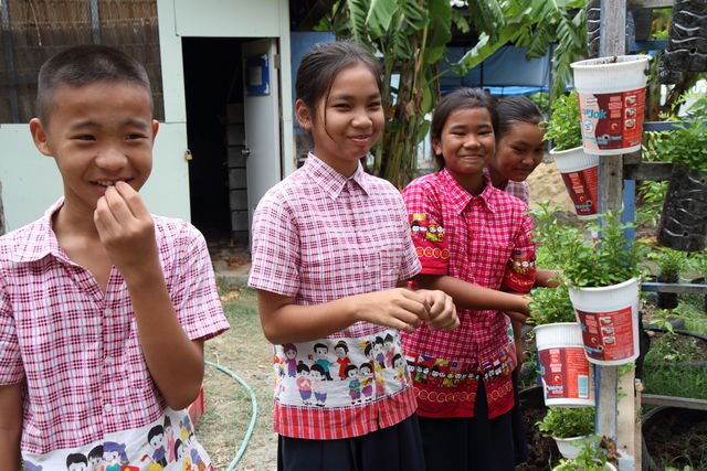 รร.วัดธัญญะผล สอนนักเรียนปลูกผักทั้งบ้าน-โรงเรียน thaihealth