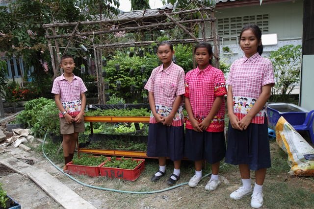 รร.วัดธัญญะผล สอนนักเรียนปลูกผักทั้งบ้าน-โรงเรียน thaihealth