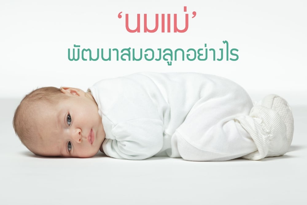 ‘นมแม่’ พัฒนาสมองลูกอย่างไร?   thaihealth