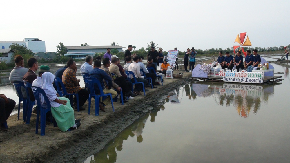 อนุรักษ์ 'เกลือหวานปัตตานี' นาผืนสุดท้ายในแหลมมลายู thaihealth