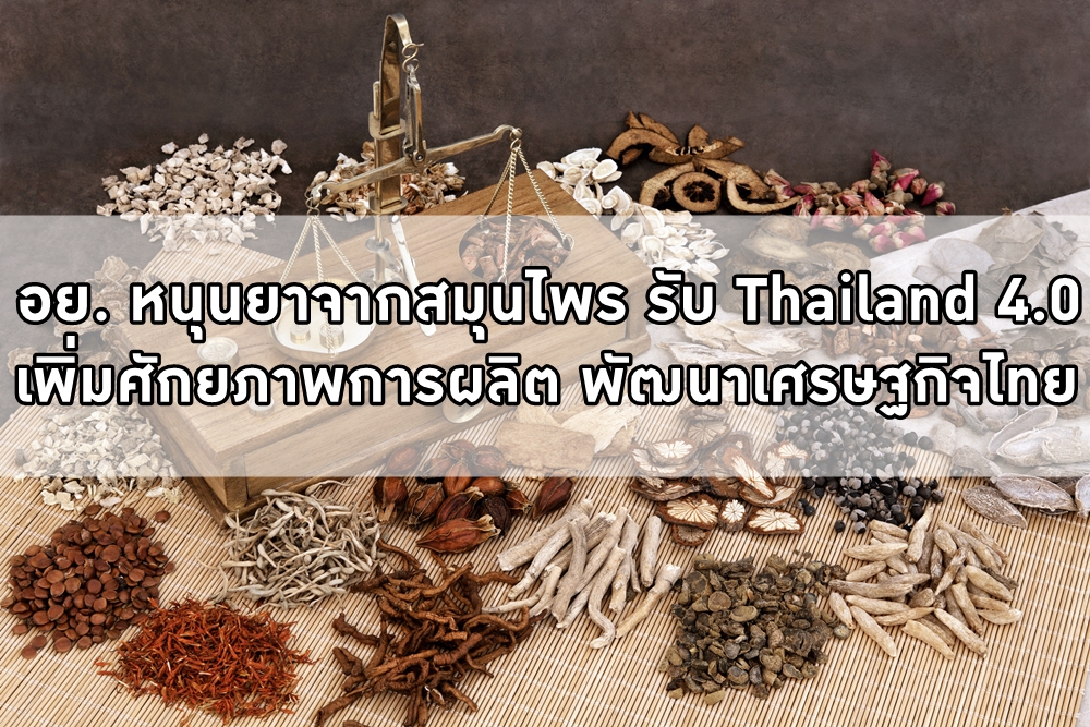 อย. หนุนยาจากสมุนไพร รับ Thailand 4.0 thaihealth