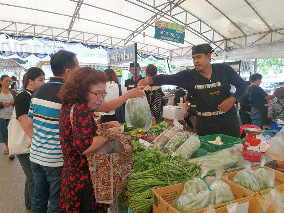 ตลาดเกษตร ม.อ. ต้นแบบจัดการอาหาร thaihealth