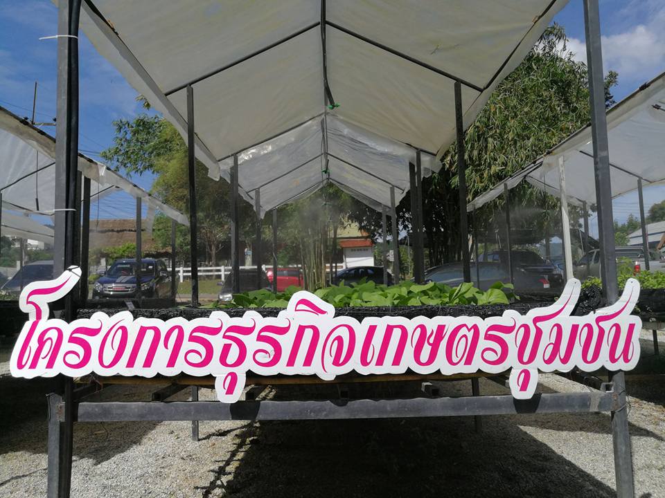 ตลาดเกษตร ม.อ. ต้นแบบจัดการอาหาร thaihealth