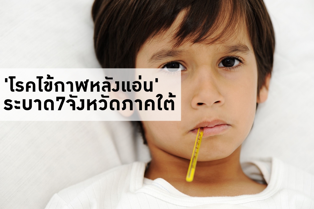 'โรคไข้กาฬหลังแอ่น' ระบาด7จังหวัดภาคใต้ thaihealth