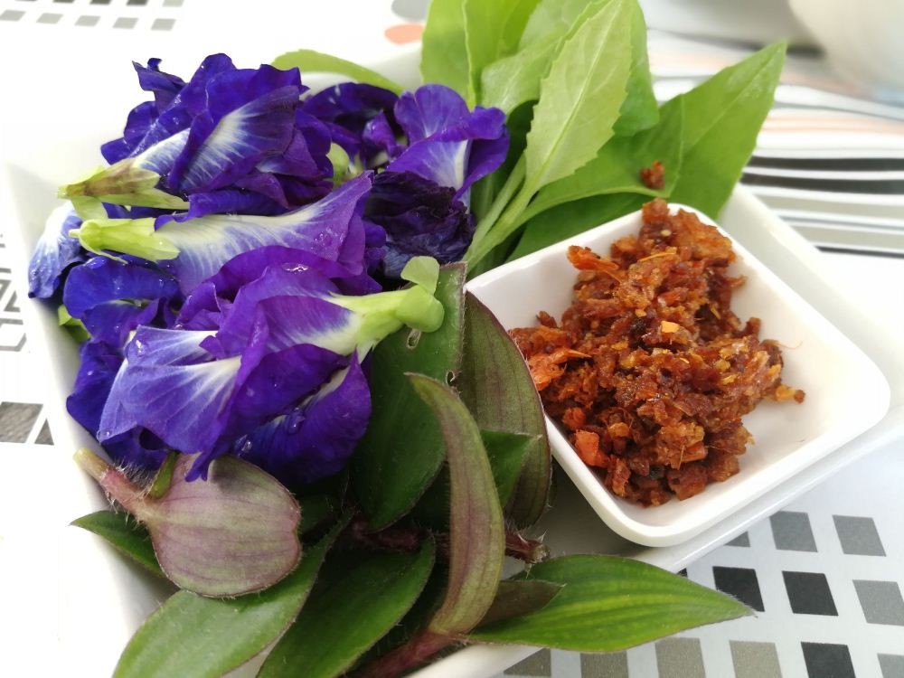 สสส. หนุน “สงขลา” พื้นที่ต้นแบบ “แหล่งให้บริการอาหารเพื่อสุขภาพ” thaihealth