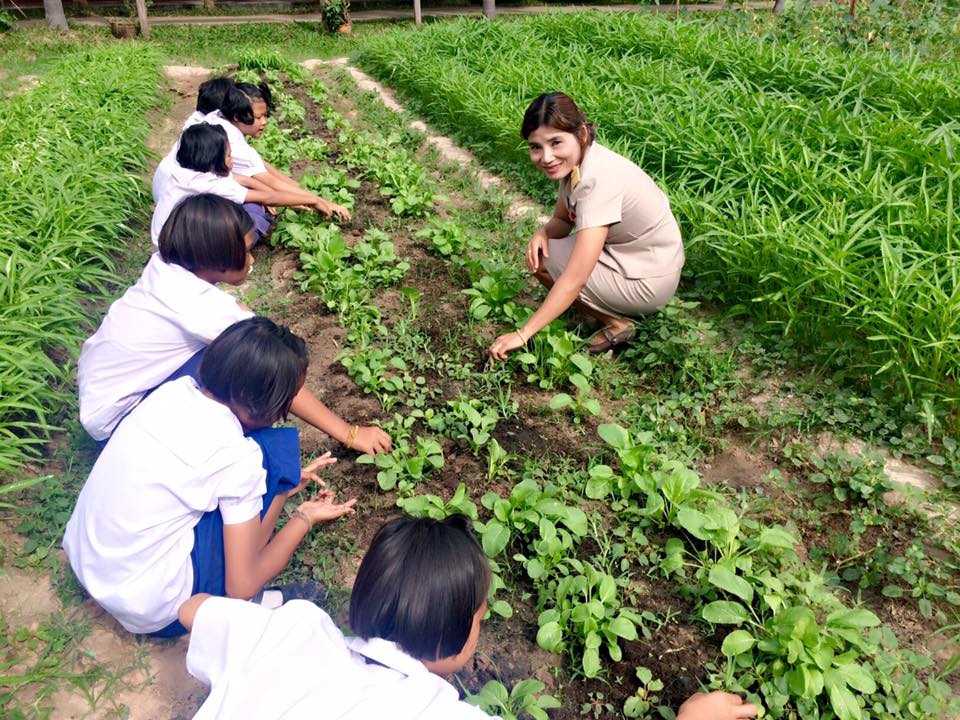 'อาหารกลางวัน' ต้านโรคซีด ปลูกจากบ้านสู่จานในโรงเรียน thaihealth