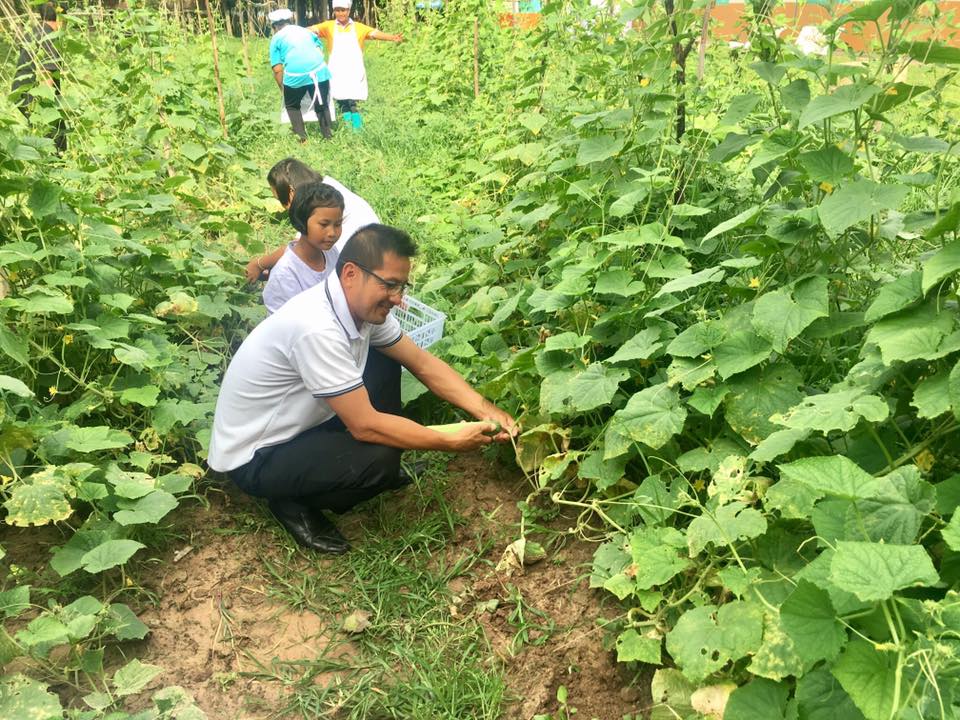 'อาหารกลางวัน' ต้านโรคซีด ปลูกจากบ้านสู่จานในโรงเรียน thaihealth
